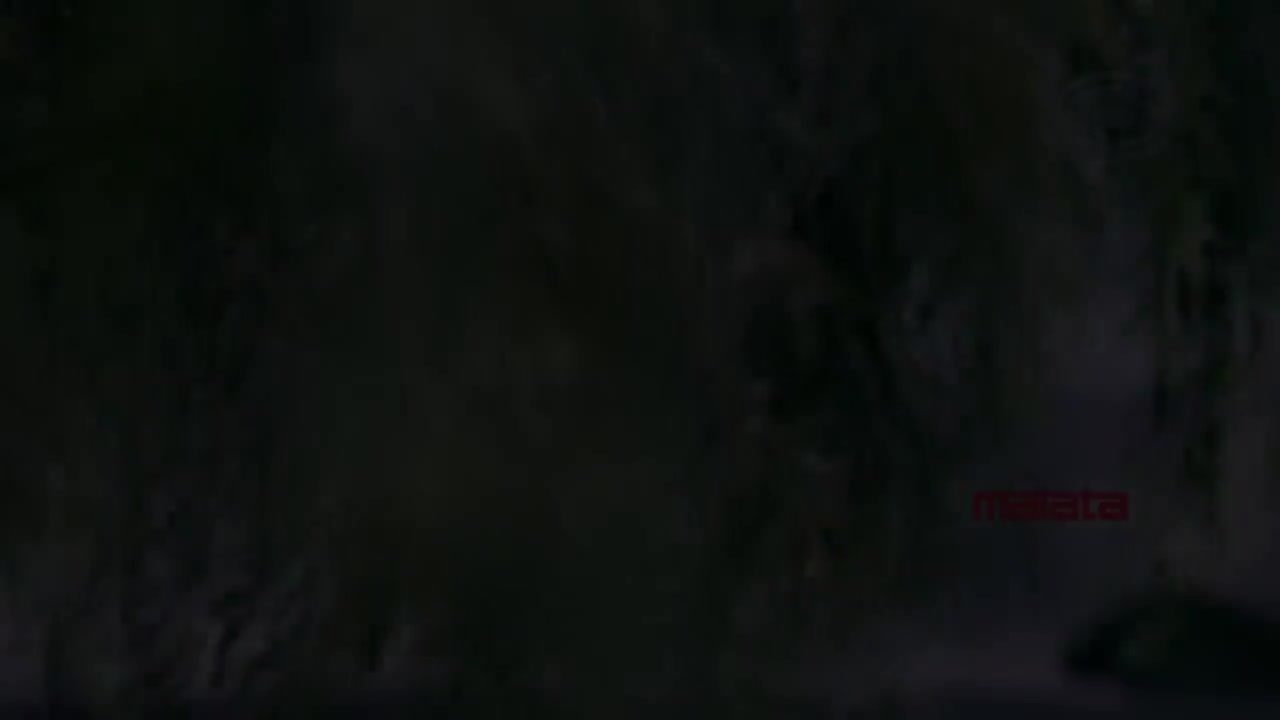 【13th 哎呦不错哦】天涯过客