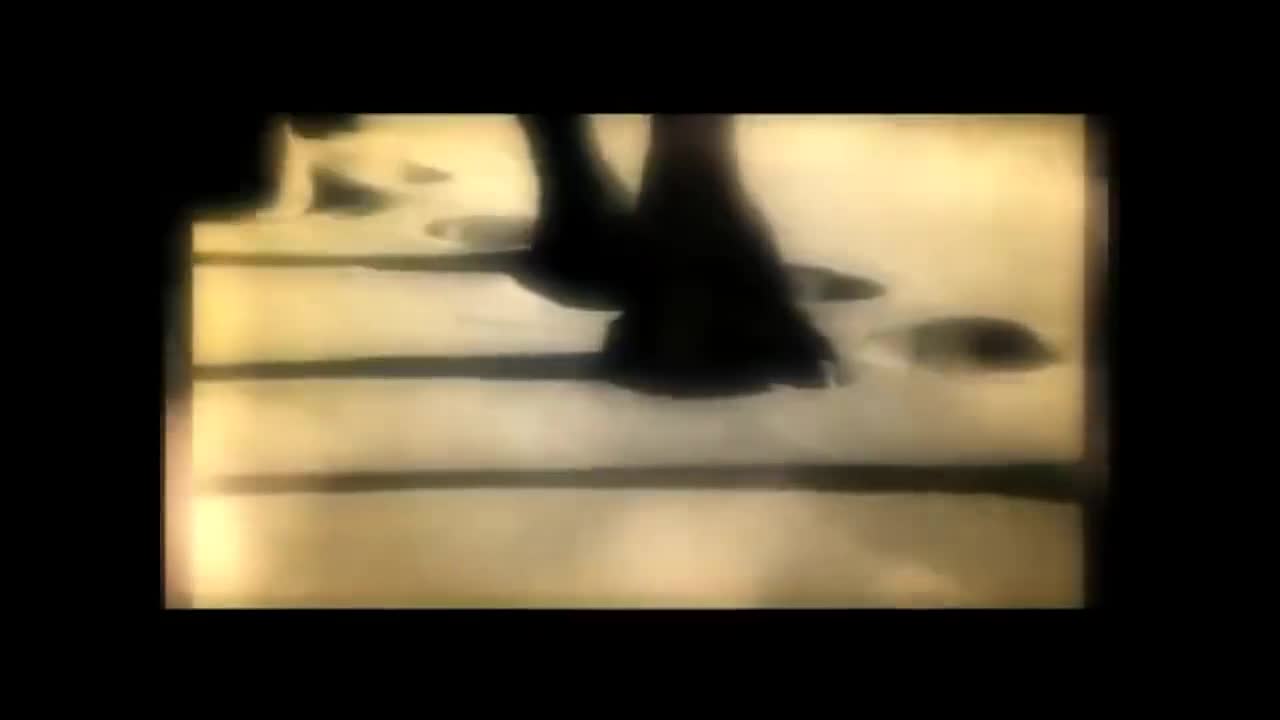 【1st JAY】印第安老斑鸠