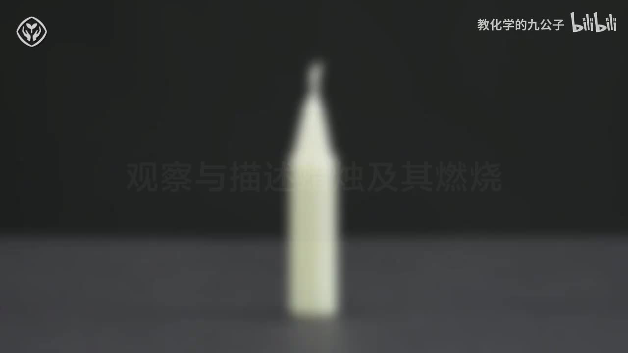 06蜡烛燃烧前观察