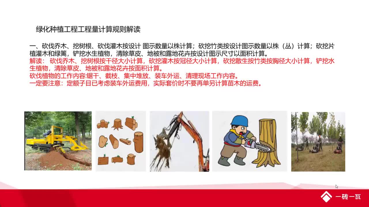 6.2第六章2园林绿化种植工程量计算解读