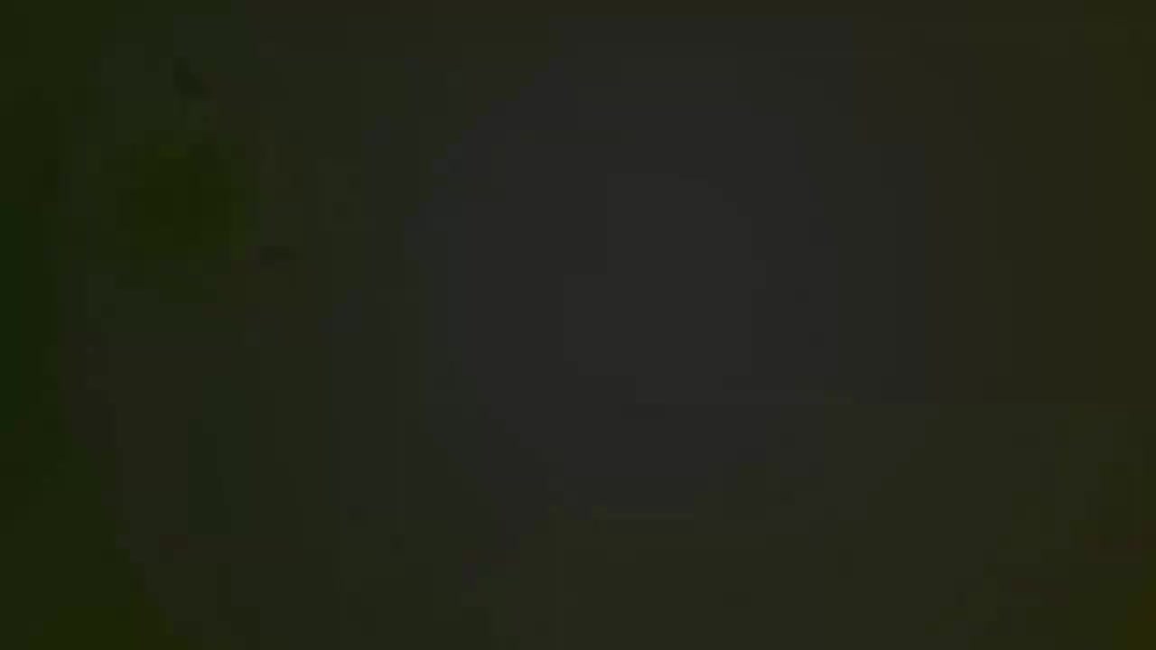 赵扬武.秦腔《赵氏孤儿》陕西省戏曲研究院秦腔团演出