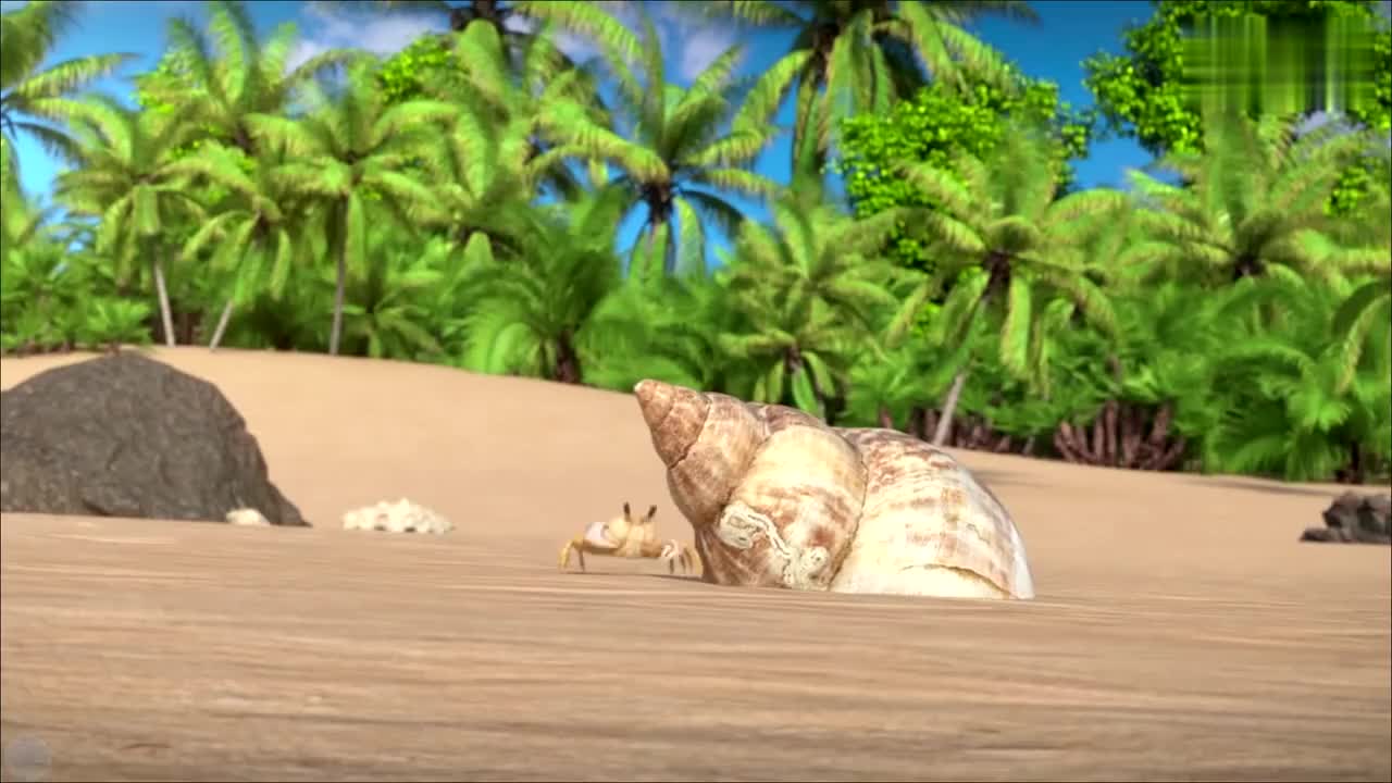 02-滩涂和礁石海岸动物