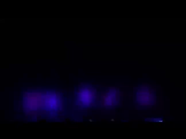 狸猫换太子