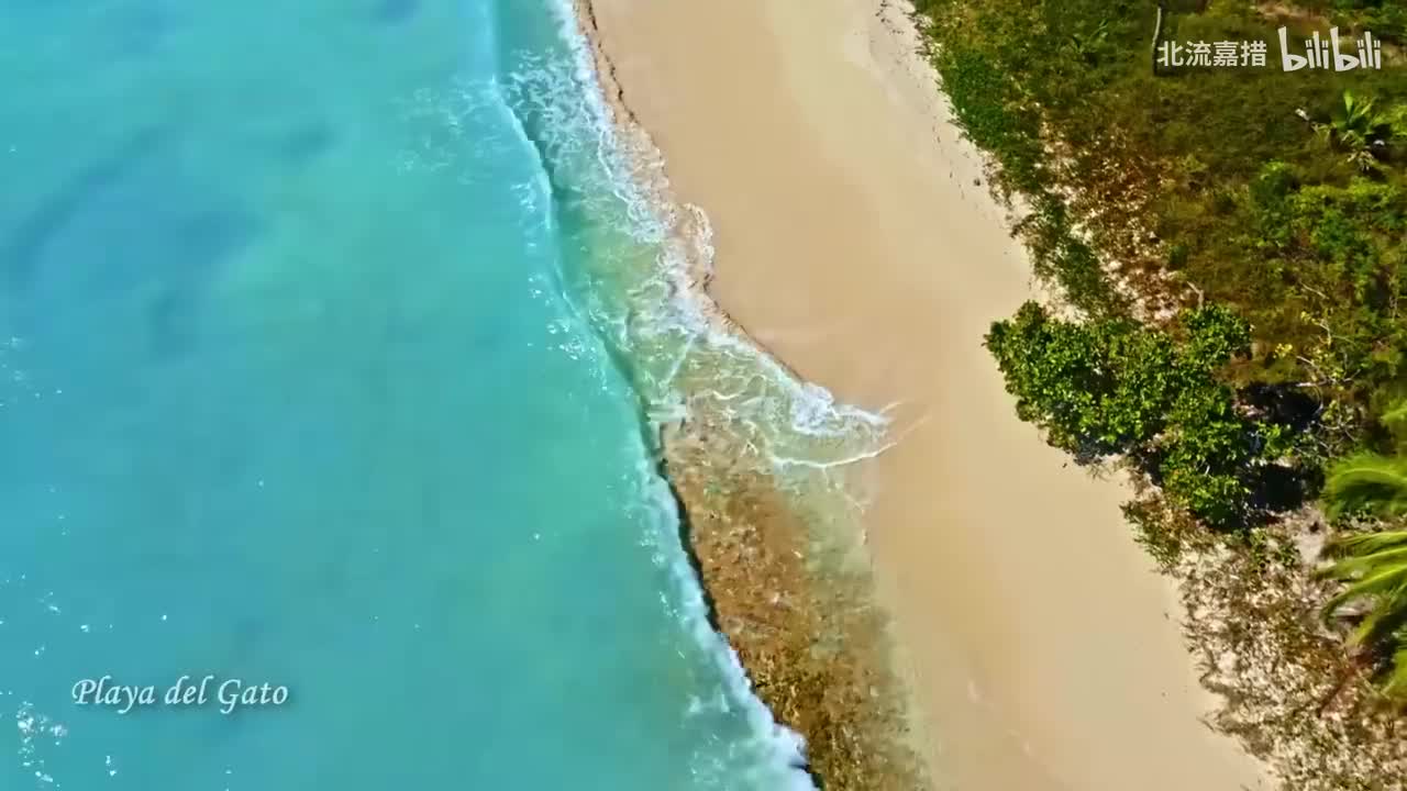 Nocturnes, Op. 9No. 2 in E-Flat Major - Luke Faulkner