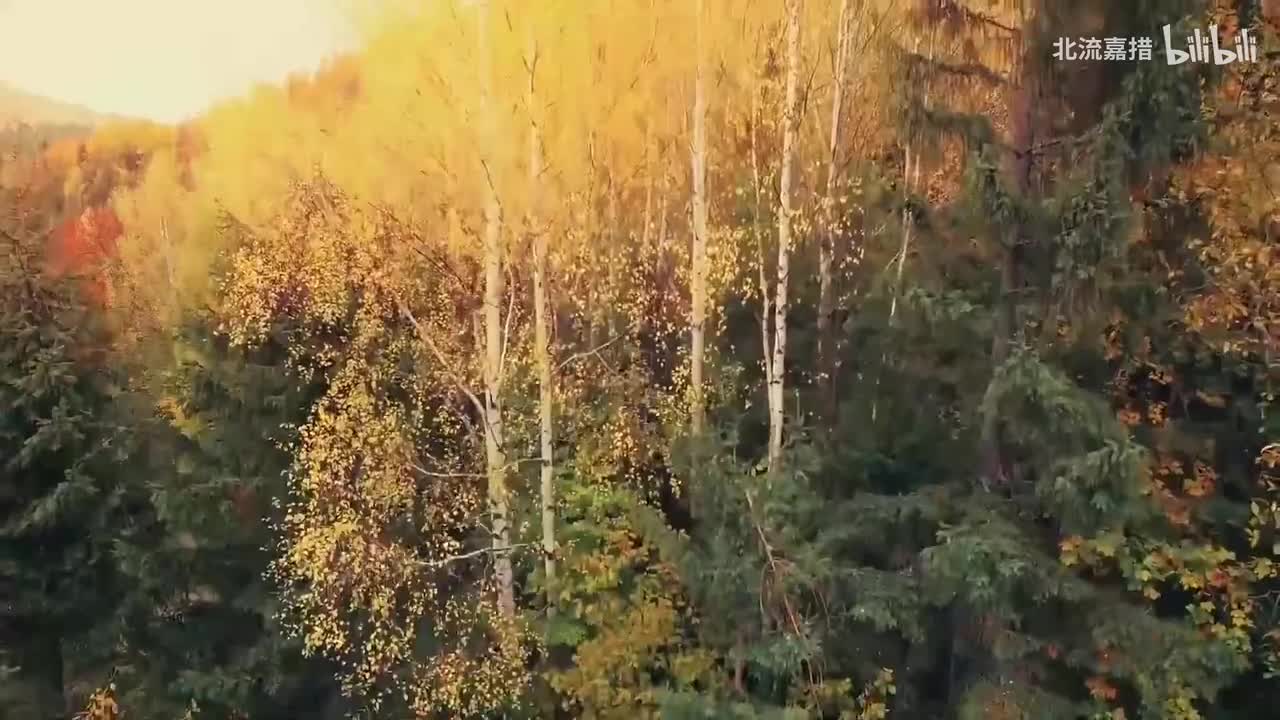 仲夏夜之梦, Op. 61, No. 9 婚礼进行曲 (门德尔松) - 淑清