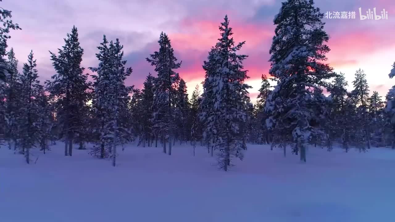 Ave Maria - Carlo Balzaretti