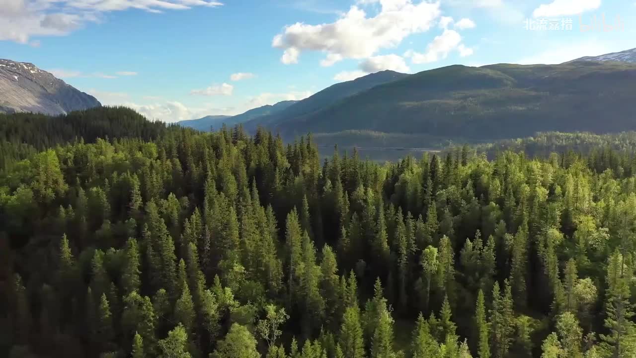 莫扎特 小星星变奏曲 K.265 - 钟宇强