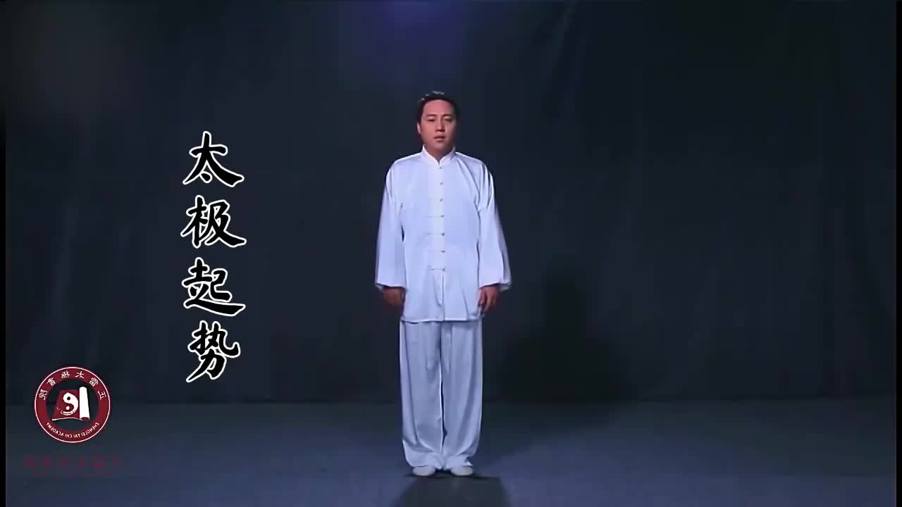 陈氏太极拳老架一路完整镜像版