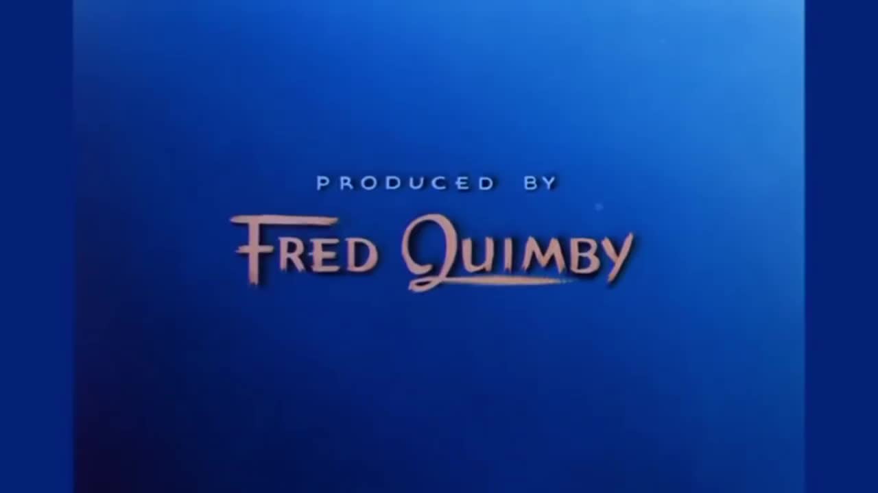 071.行船猫-Cruise Cat