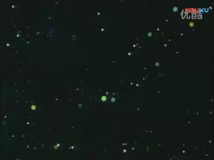 美人迷