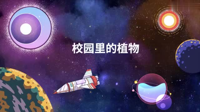 006-校园里的植物