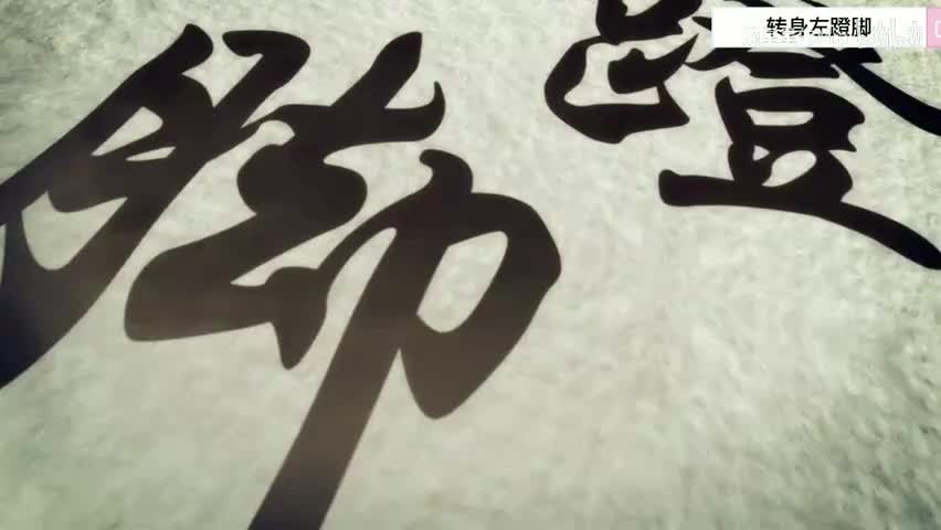 15.第十五式 转身左蹬脚