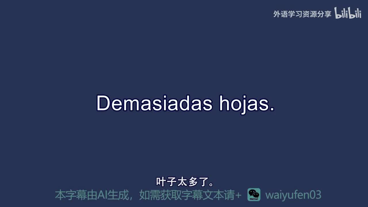 【西班牙语RAZ】B_12_Demasiadas hojas