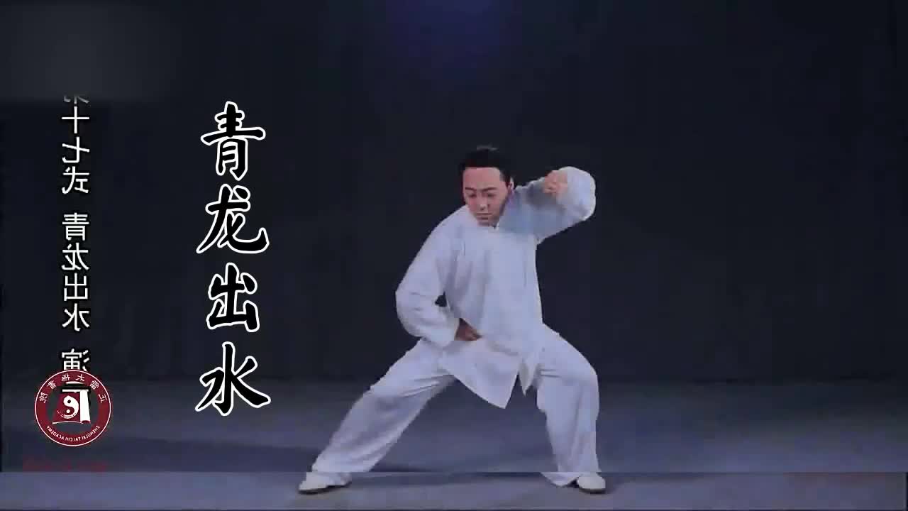 第十七式-青龙出水
