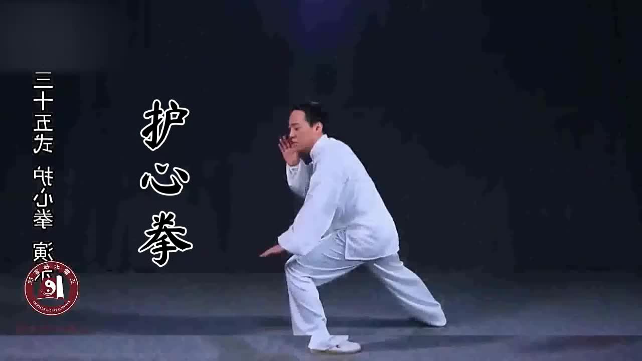 第三十五式-护心拳