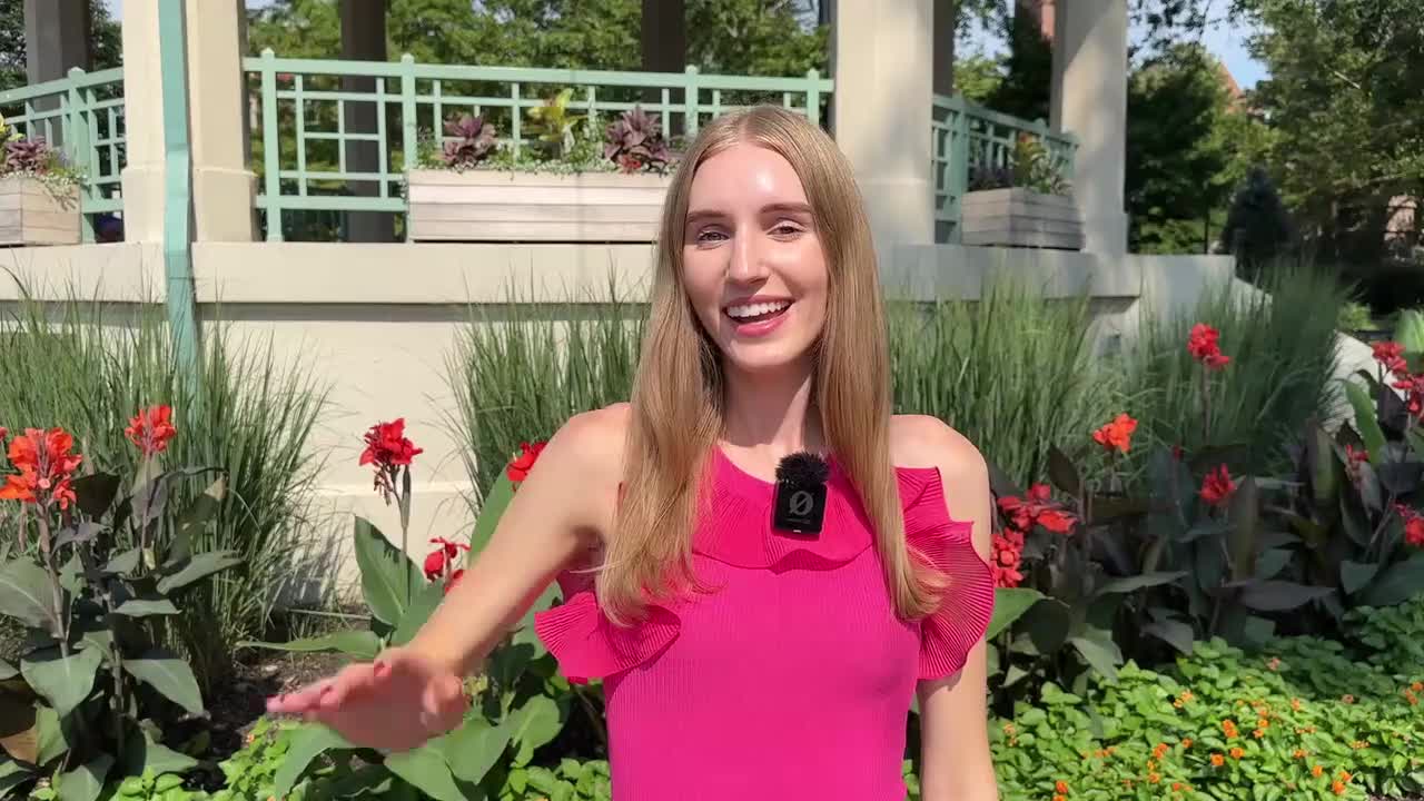 045 20 分钟学会 20 个动词