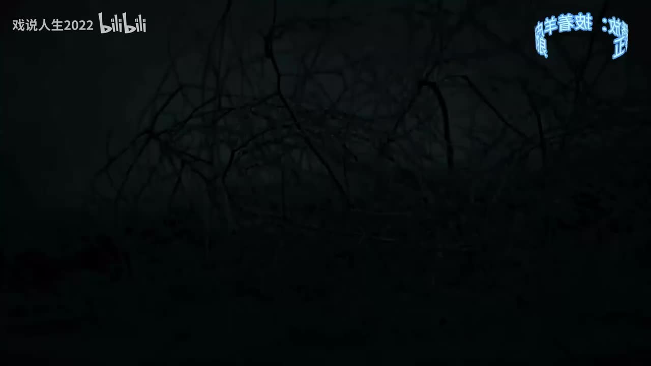 3.披着羊皮的狼