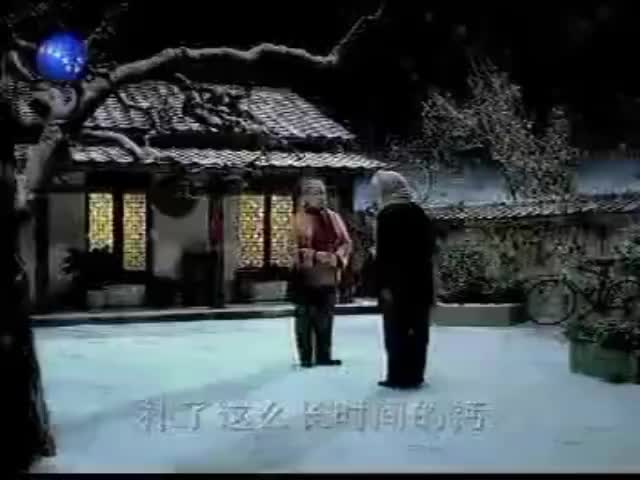 仙灵骨葆胶囊-2005年至2007年
