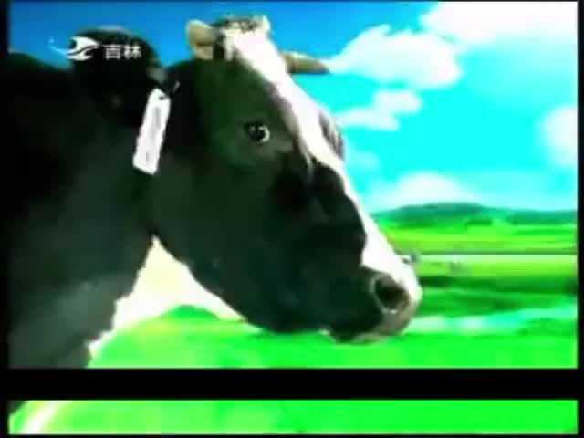 广泽酸奶-2009年