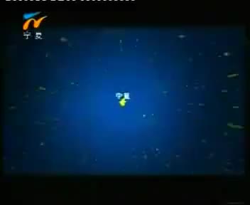 [117377]_[宁夏卫视]_[宁夏卫视]_[2010-05-06]