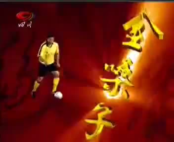 [29778]_[金嗓子喉片]_[四川卫视]_[2006-02-03]