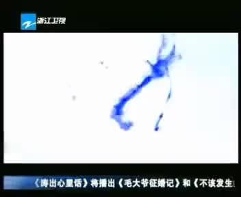 [89871]_[浙江卫视]_[浙江卫视]_[2009-03-16]