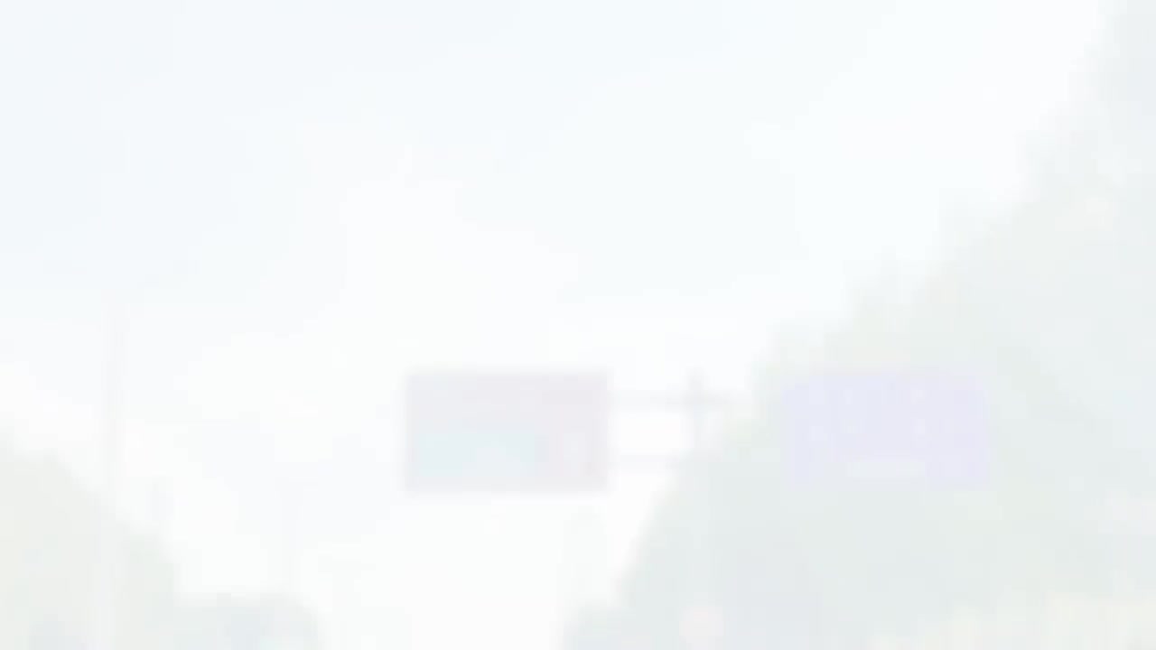 《国际青年勇闯哈尔滨国际啤酒节，体验不一样的尔滨夏天》