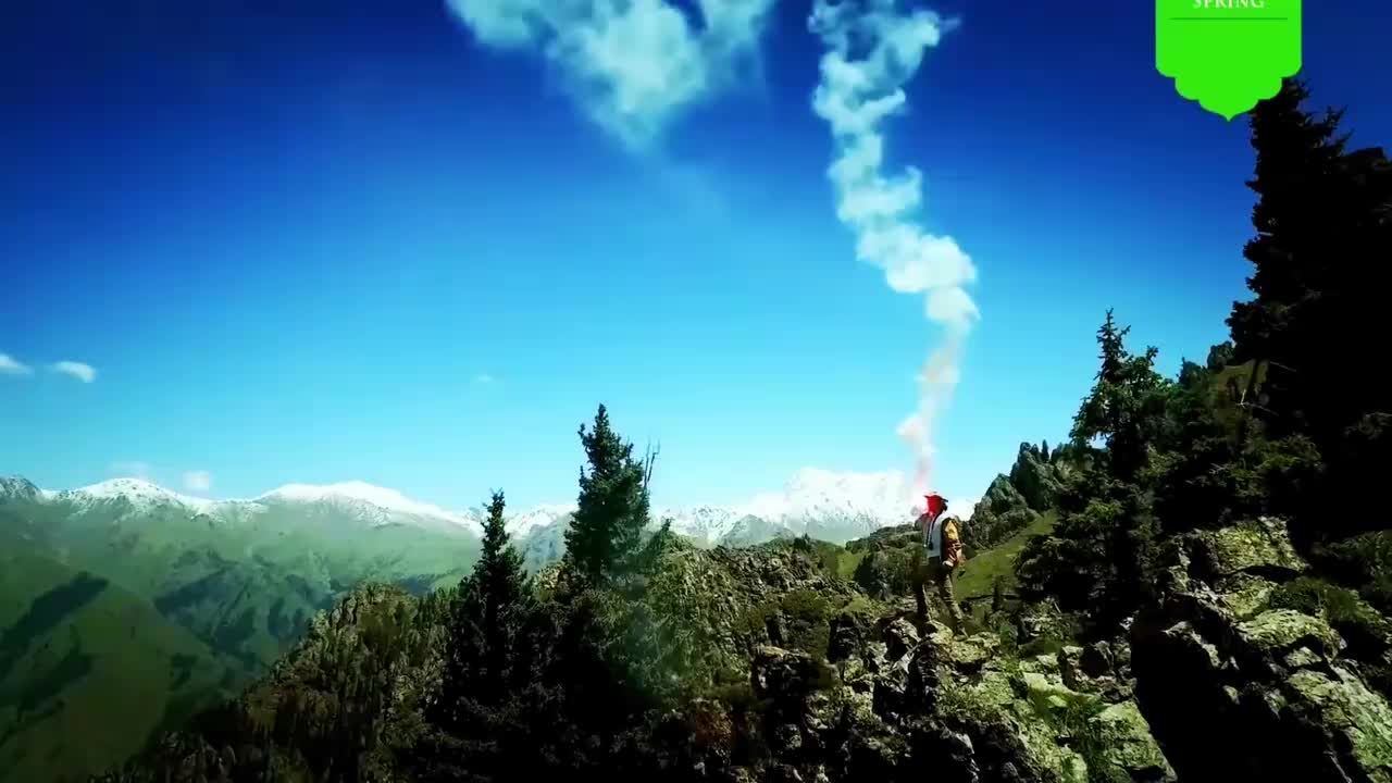 《99%老外惊呼我们被骗了! 国外摆摊手抓饭揭秘真实新疆》