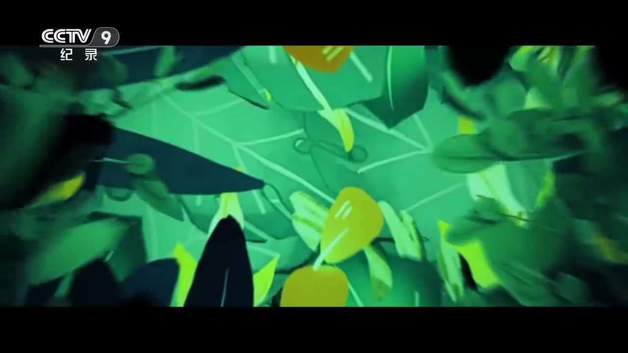 第9集：鼩鼱有毒