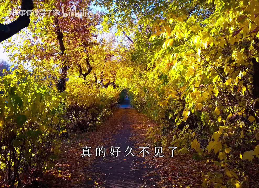 好久不见吗......真是睡昏头了