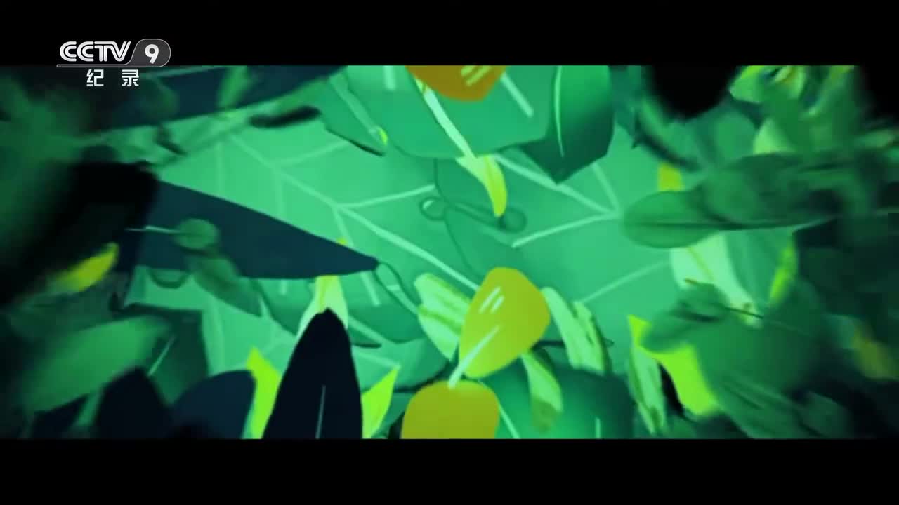 第1集：吸血侦察兵