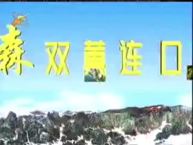 福森双黄连口服液-2005年至今