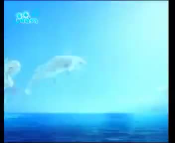 [200171]_[长风海洋世界]_[哈哈少儿频道]_[2013-07-10]