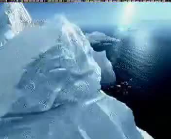 [17794]_[长风海洋世界]_[上海电视台星尚频道（生活时尚频道）]_[2004-10-01]