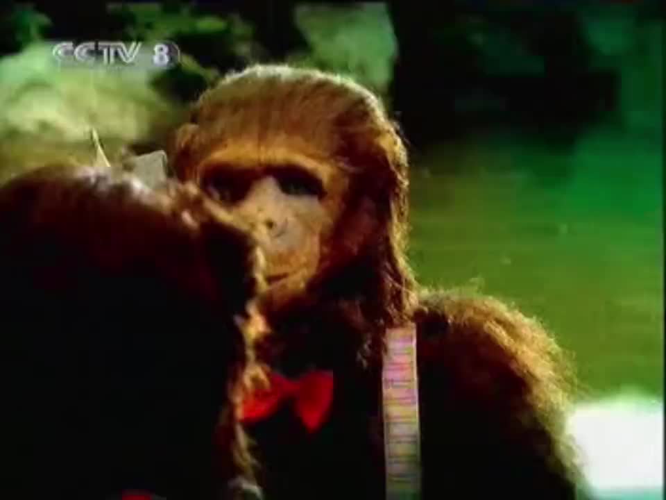 玉林湿毒清胶囊-2003年至2017年