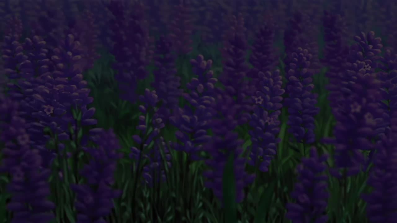 ED40: Your Best Friend / 仓木麻衣