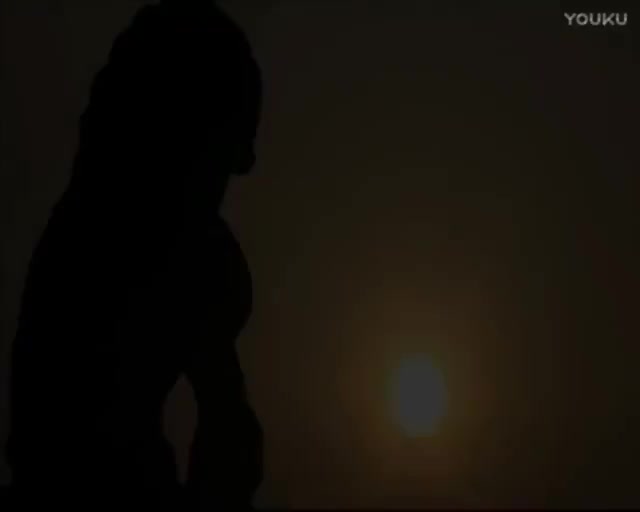 修身正能量第40集