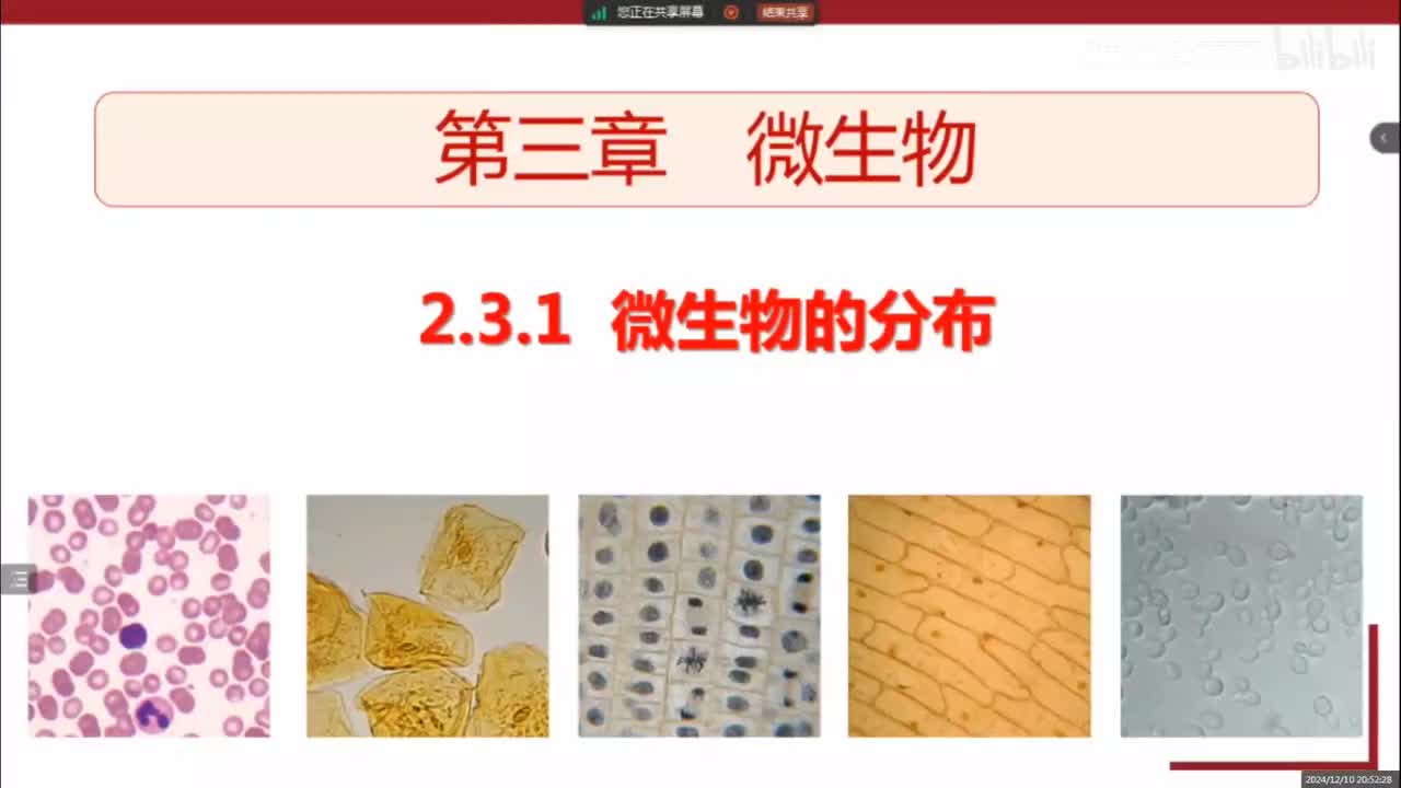 人教版初中生物七上 2.3.1微生物的分布