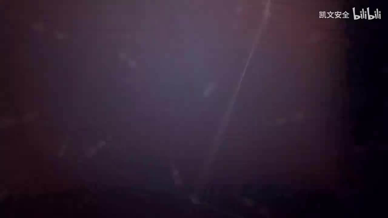 03装载易流态化固体散装货物船舶自沉事故案例