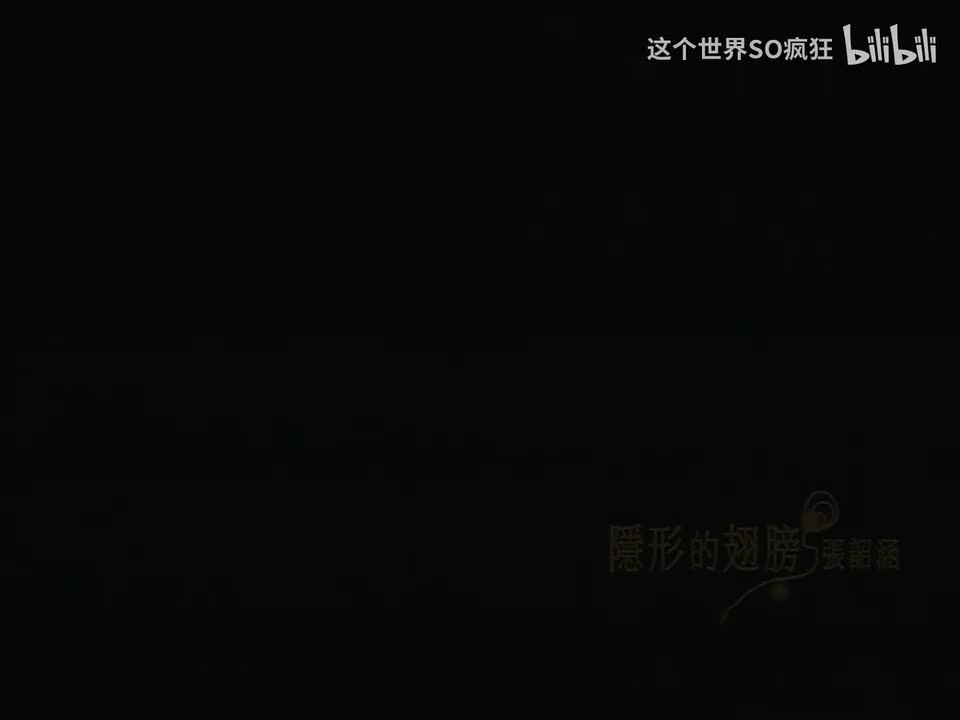 隐形的翅膀 - 张韶涵