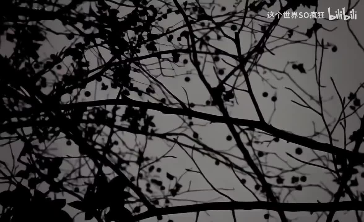 莫斯科没有眼泪 - Twins