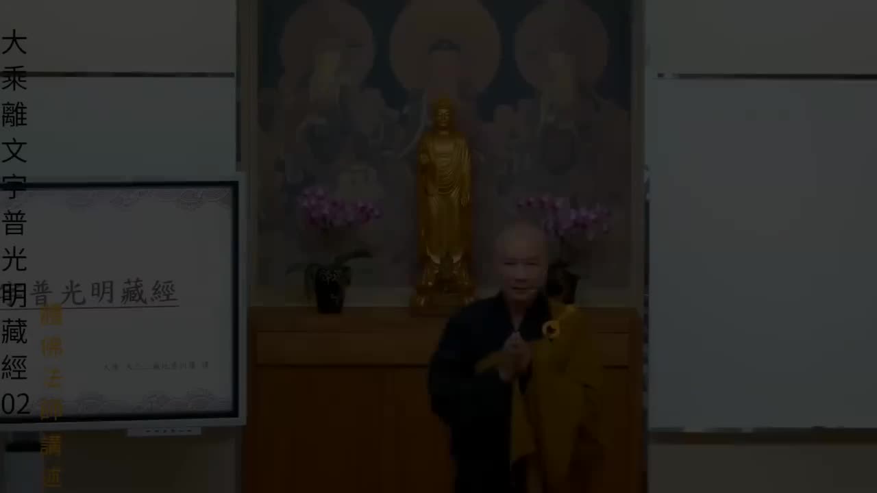 002-普光明藏经02