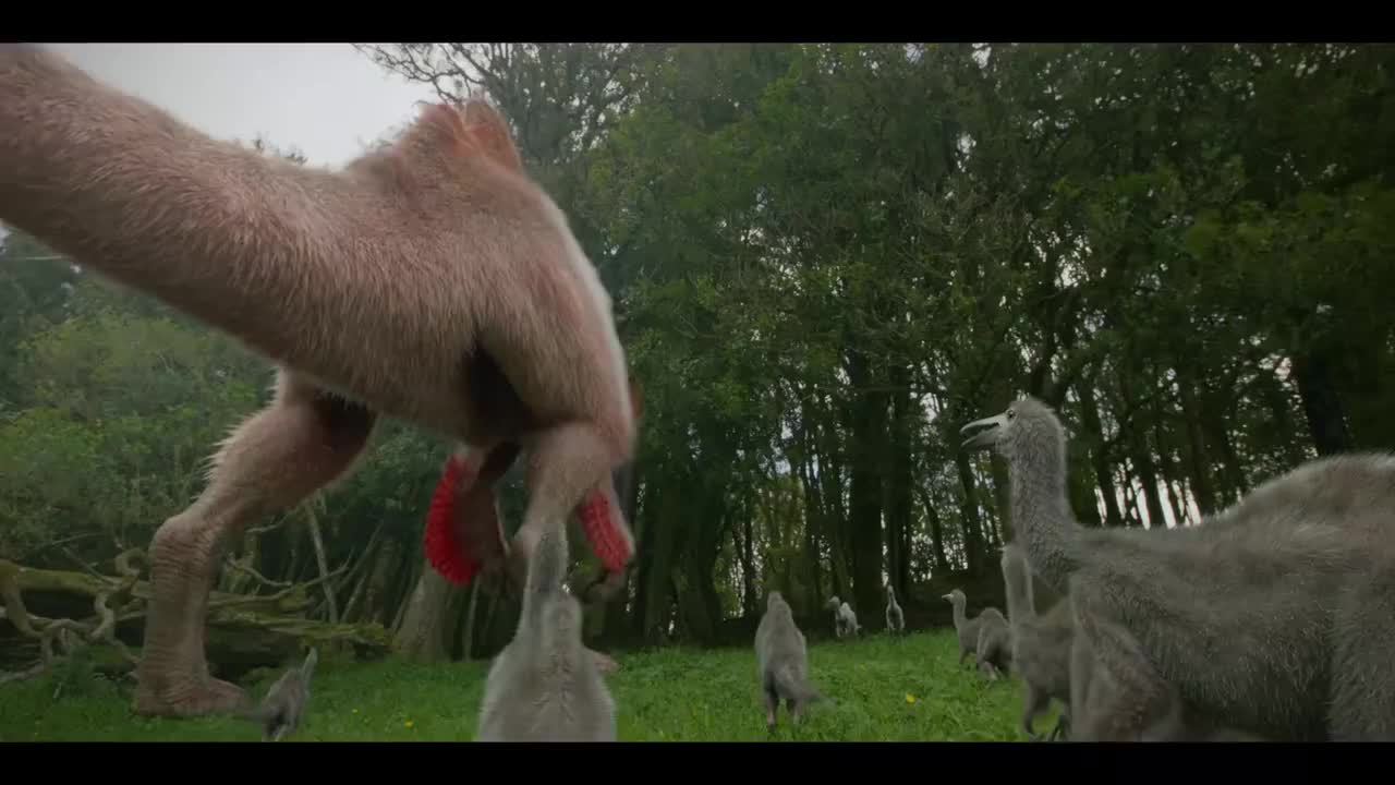 神奇的恐龙世界 羽毛革命 11