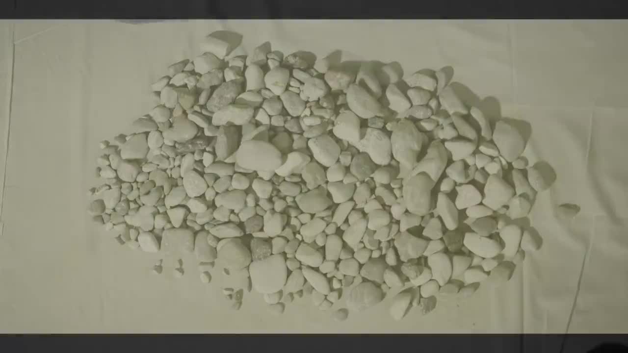 神奇的恐龙世界 羽毛革命 4