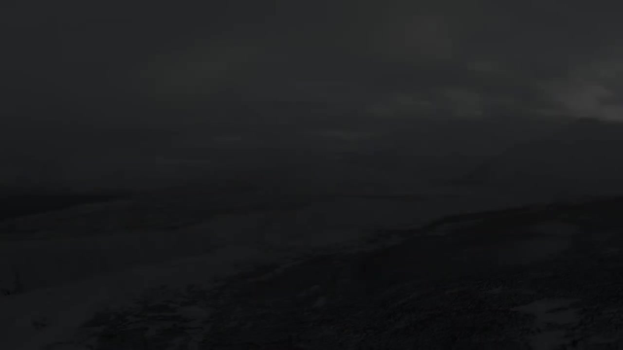 神奇的恐龙世界 羽毛革命 1