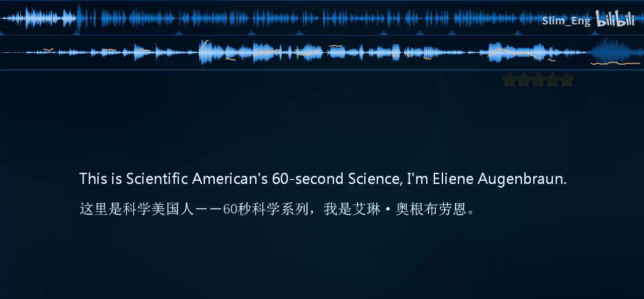 0030 科学美国人- 你的狗狗多大了