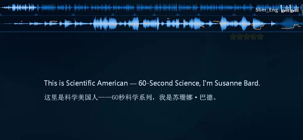 0011 科学美国人-盲人的大脑