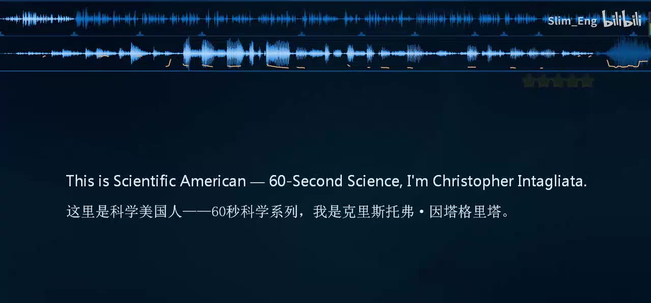 0017 科学美国人-古代小石刀