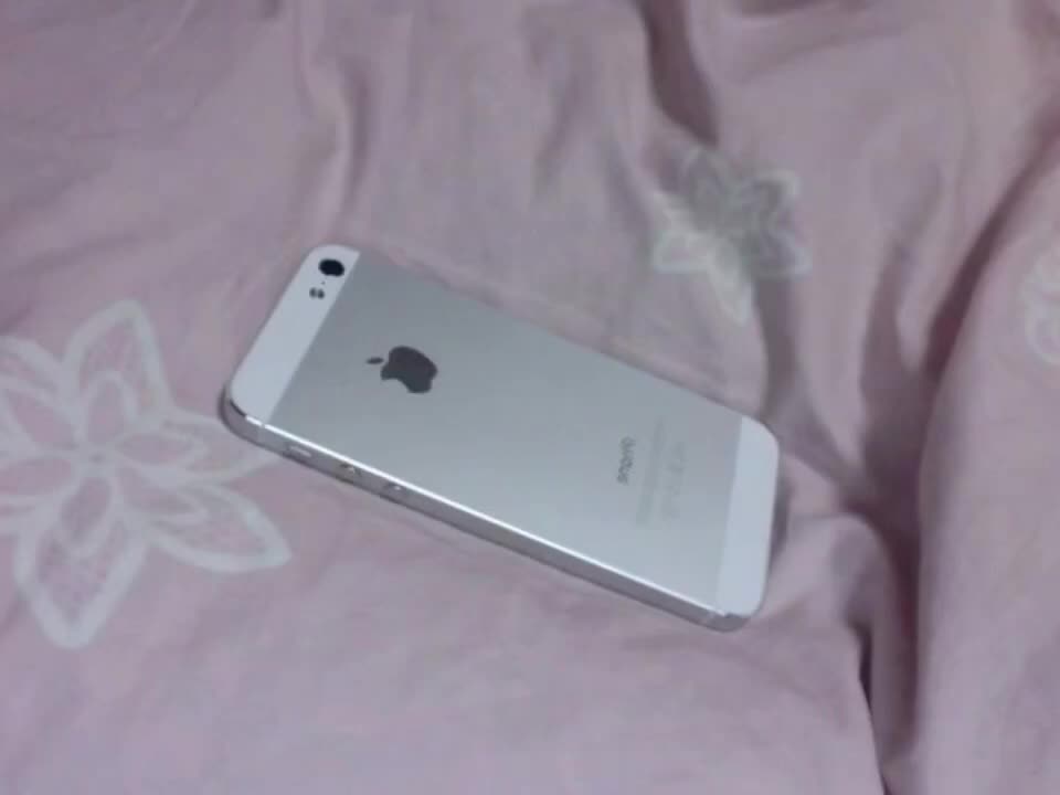 bear tickles ur phone asmr