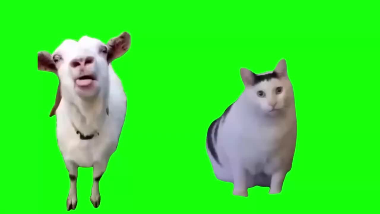 山羊与huh猫（有声）